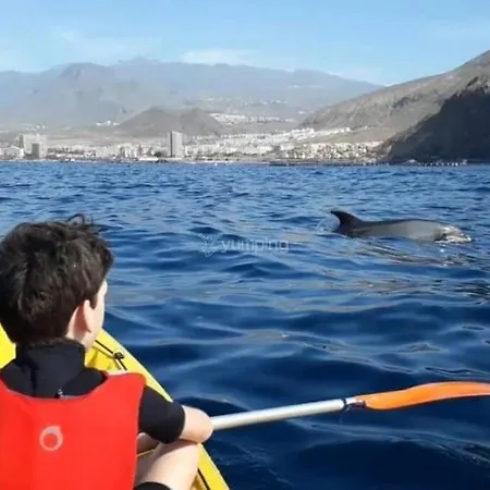 公寓 Tenerifeshouthbeach