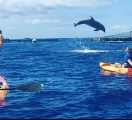 Tenerifeshouthbeach 美洲海滩