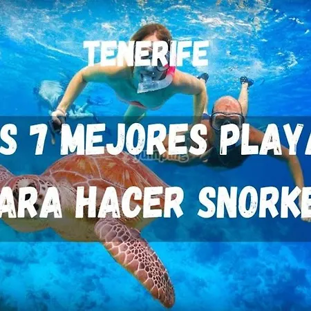 公寓 Tenerifeshouthbeach *