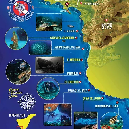 Tenerifeshouthbeach 公寓 美洲海滩