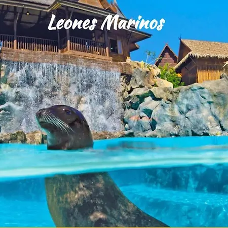 公寓 Tenerifeshouthbeach 美洲海滩