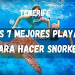 Lejlighed Tenerifeshouthbeach *